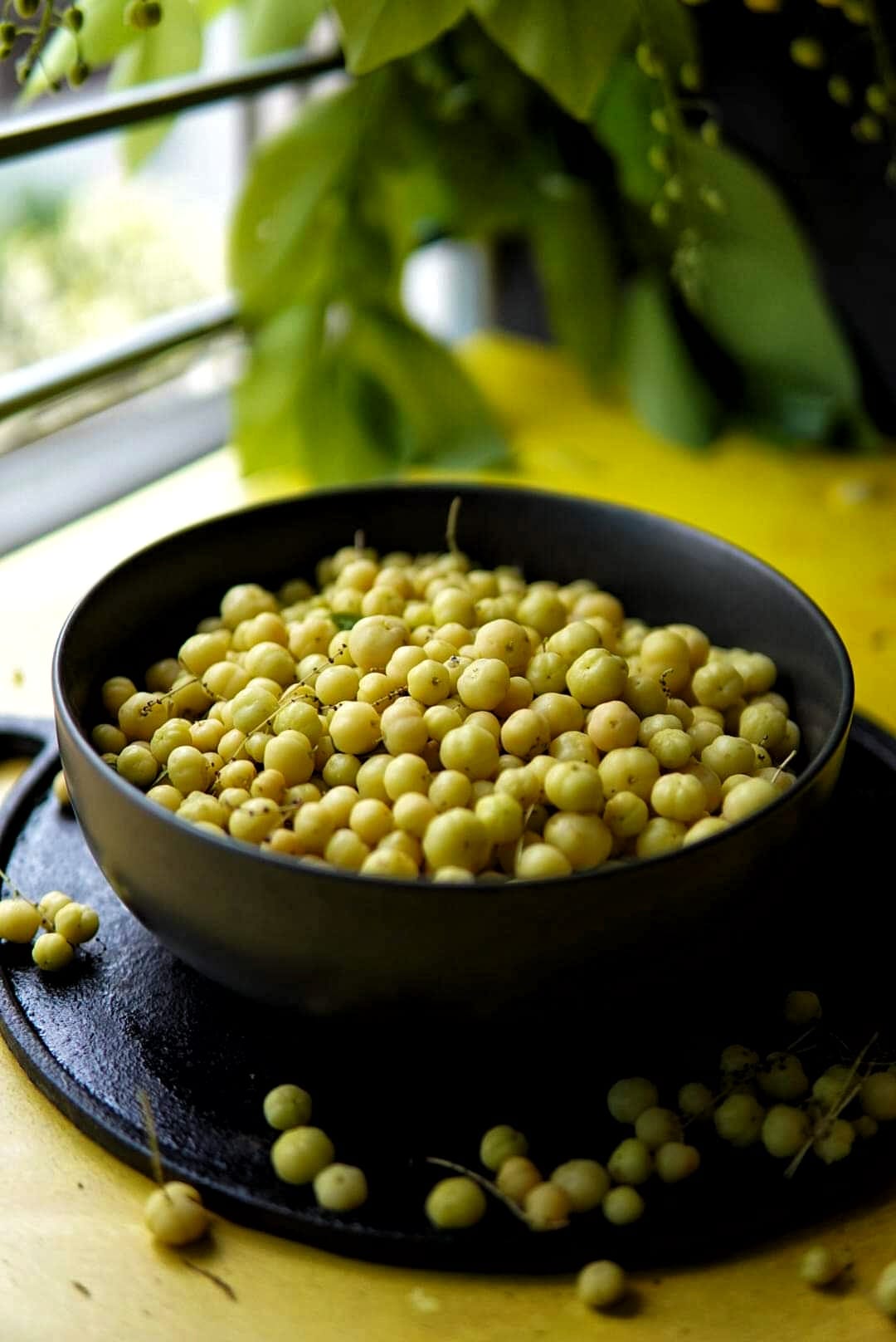 Thai Gooseberry Fruit